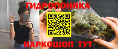 apvp Партизанск