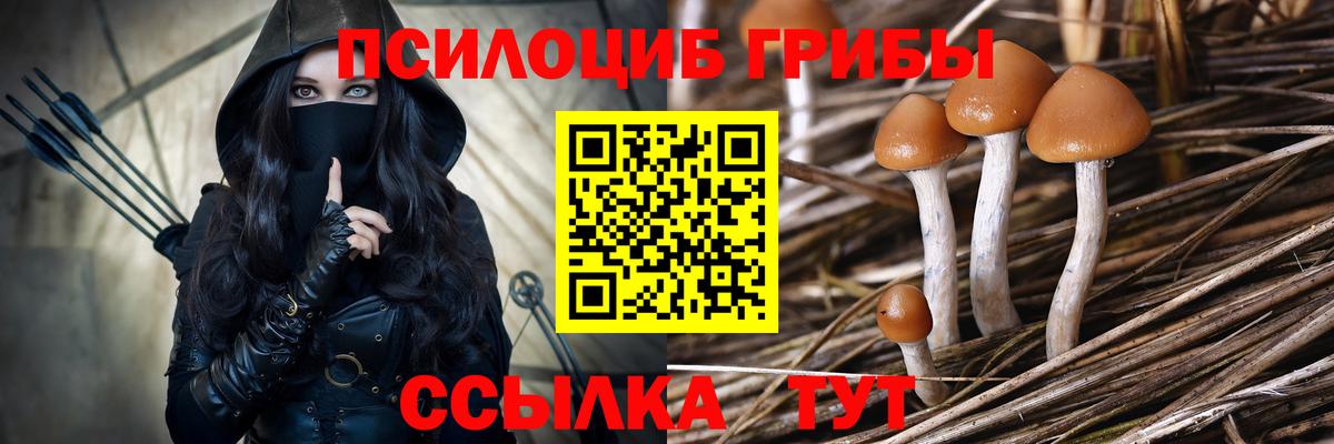 МЕФ Медногорск
