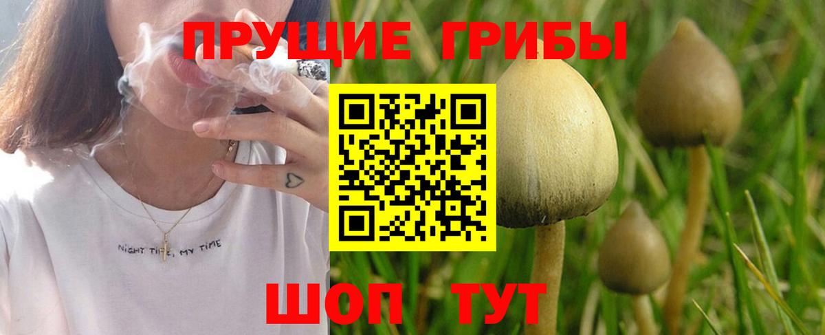 Псилоцибиновые грибы GOLDEN TEACHER  Вход с VPN  Псилоцибиновые грибы мицелий  где найти наркотики  Медногорск 